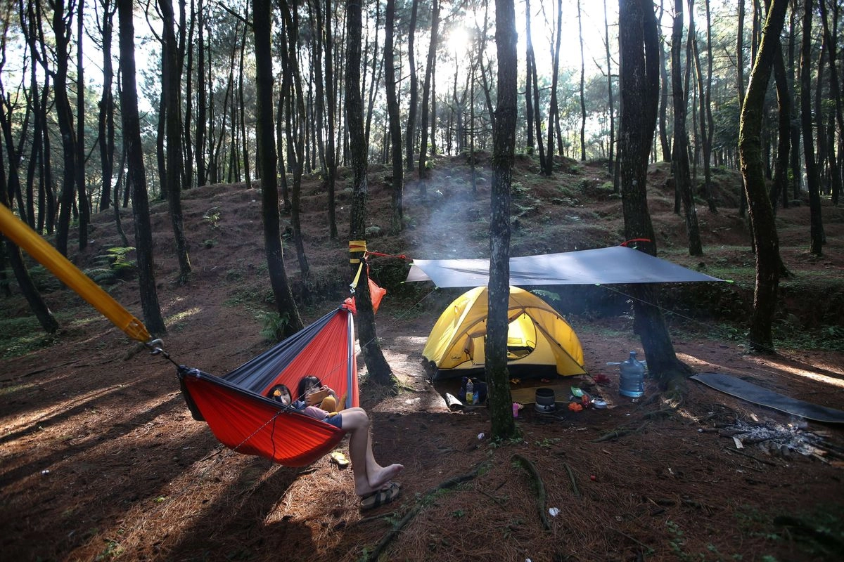 Tarif Masuk TN Halimun Salak Turun 50 Persen, Jadi Segini Harganya