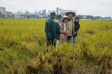 MSMB Dukung Kementerian Komdigi Wujudkan Pertanian Digital di Sragen