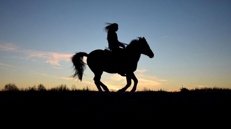 Ramalan 12 Shio Hari Ini 13 November: Intip Peruntungan Karier, Keuangan hingga Asmara