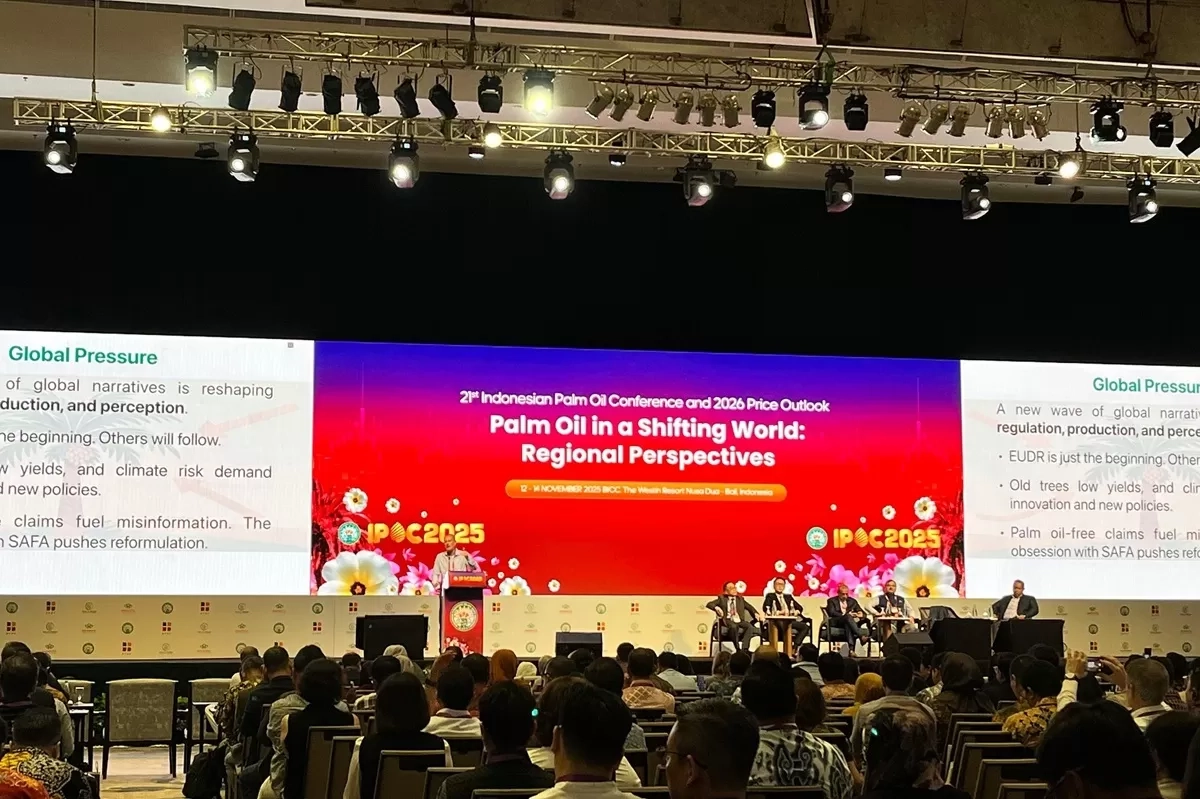 Prospek Harga CPO Diprediksi Menguat pada Kuartal I 2026, Berkisar USD 1.050 hingga USD 1.125 per Ton