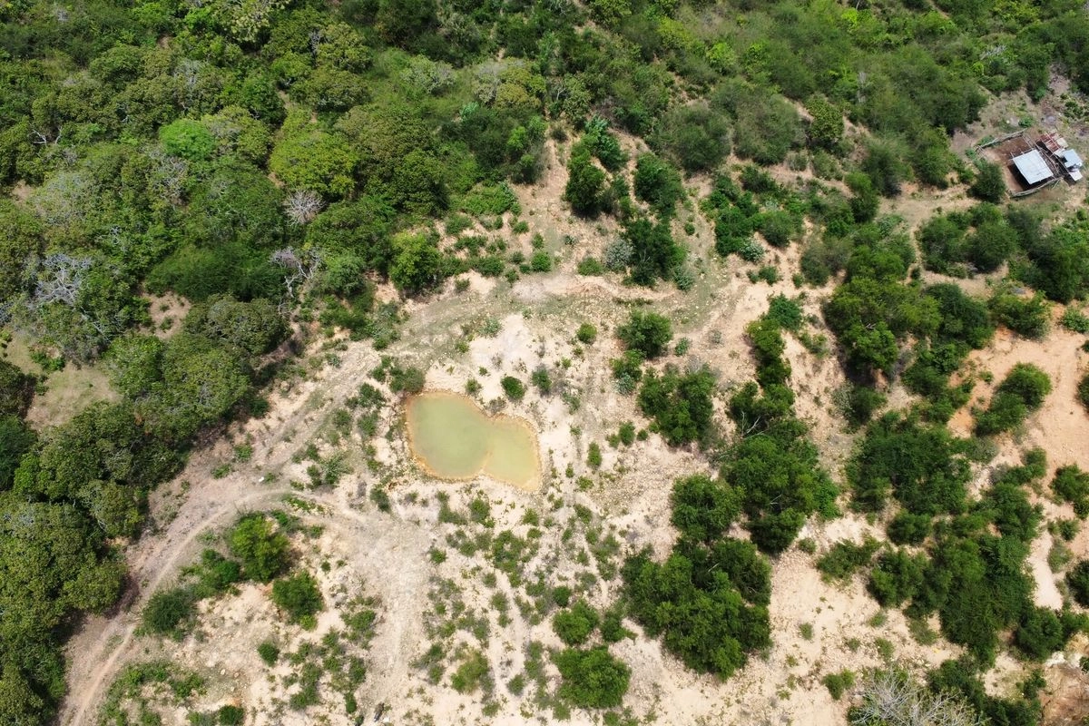 Apa Itu Tambang yang Dilegalkan Pemerintah?