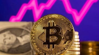 Harga Bitcoin Tengah Ambruk, Investor Disarankan Ambil Langkah Ini