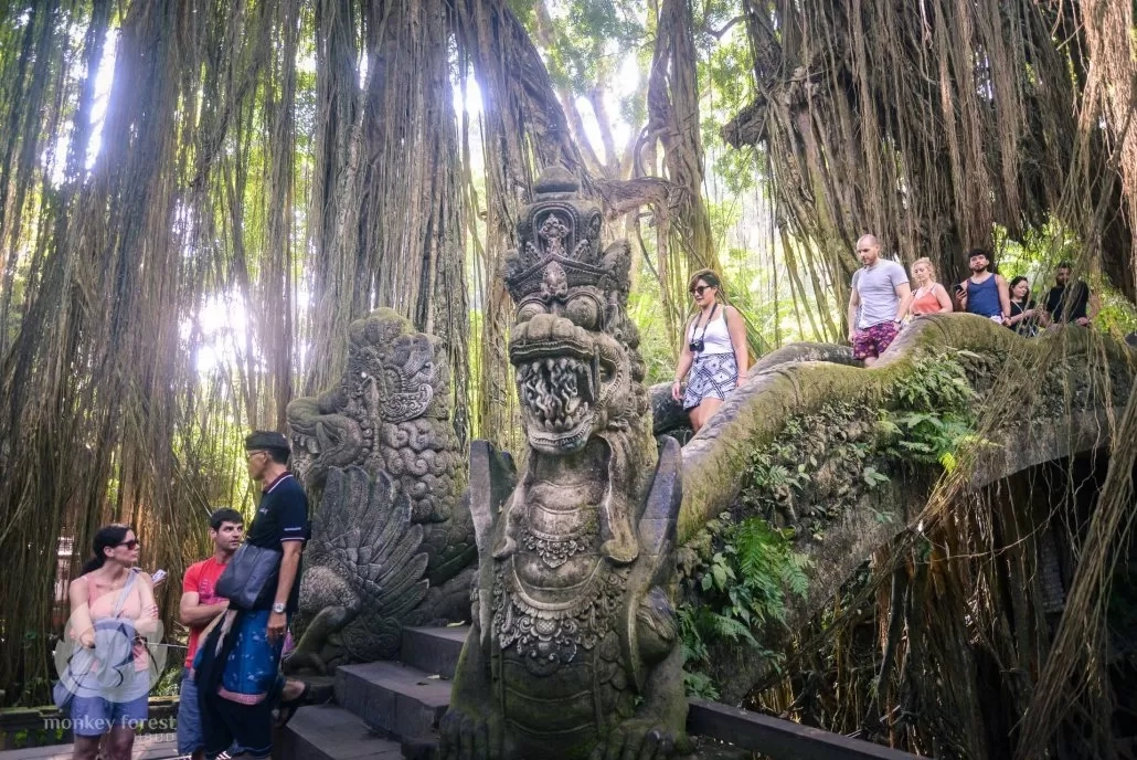 Ingin Liburan ke Bali dengan Suasana Tenang? Inilah 4 Rekomendasi Spot Healing Alami di Ubud yang Tidak Ramai Turis