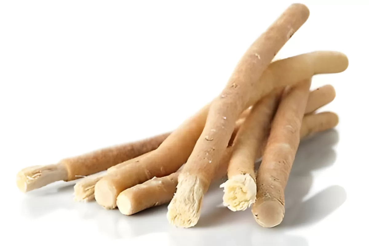 Siwak: Sejarah, Manfaat, dan Cara Penggunaannya untuk Perawatan Gigi Alami