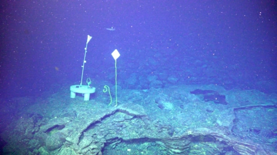 Ilmuwan Perkirakan Gunung Bawah Laut Teraktif di Pasifik Meletus pada 2026