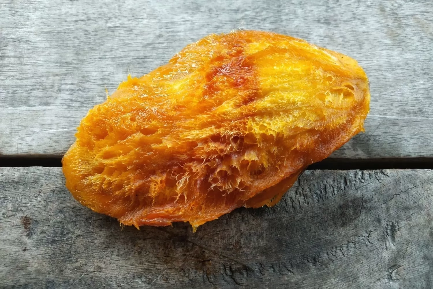 5 Manfaat Biji Mangga yang Wajib Anda Ketahui Sebelum Membuangnya