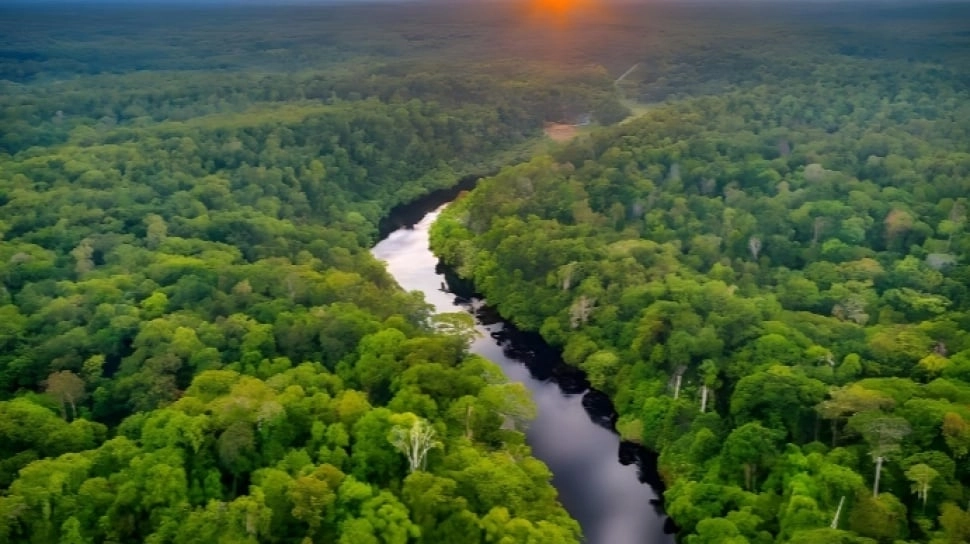 Gen Z dan Masyarakat Adat Ngamuk, Kepung KTT Iklim COP30 di Brasil: Apa Alasannya?