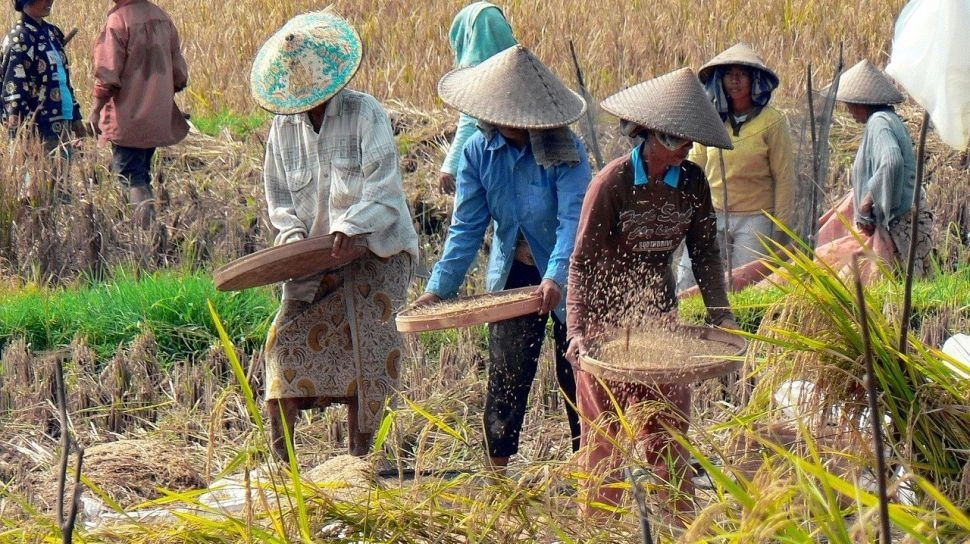 Pemerintah Siap Bagikan Lahan ke 1 Juta Rakyat Miskin untuk Pertanian dan Peternakan