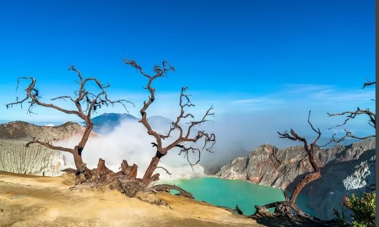 Libur Akhir Tahun ke Banyuwangi? 30 Pilihan Tempat Wisata untuk List Explore Perjalananmu