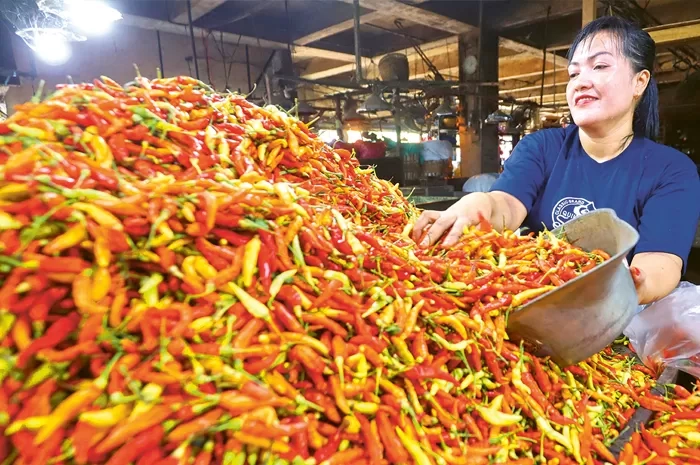 Terdampak Banjir Sumatera Utara dan Aceh, Harga Cabai Rawit Meroket dari Rp 40 Ribuan jadi Rp 250 Ribu per Kilogram