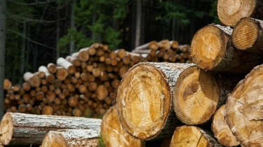 Dirut PT BRN Jadi Tersangka Ilegal Logging di Sumbar, Kerugian Rp447 Miliar