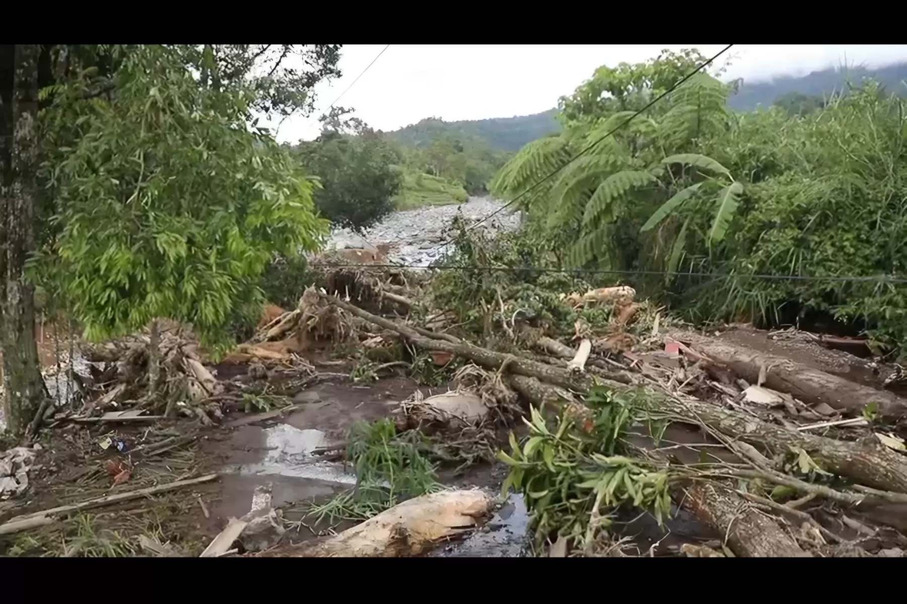 Cek Faktanya! Benarkah Toba Pulp Lestari Jadi Penyebab Bencana Ekstrem di Sumatera?