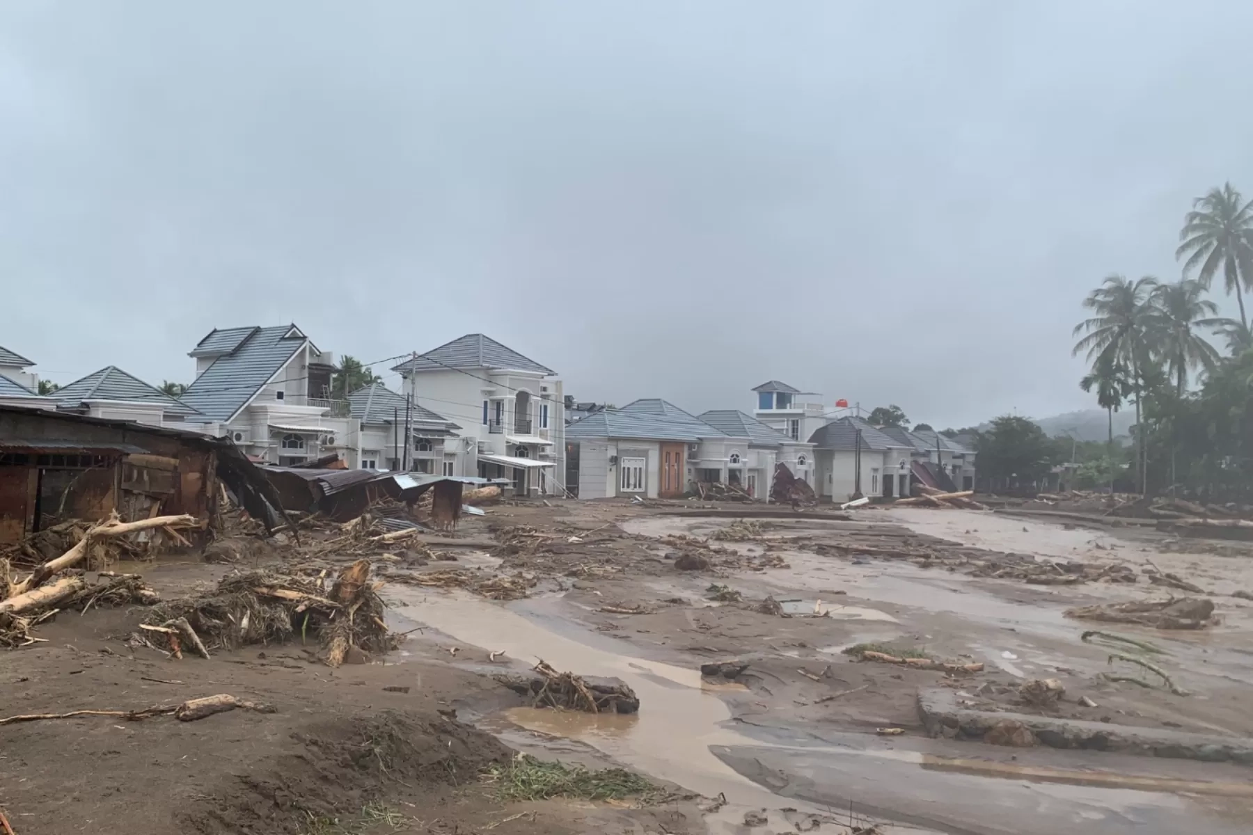 MUI, NU, dan Muhammadiyah Desak Pemerintah Tetapkan Musibah Sumatera sebagai Bencana Nasional