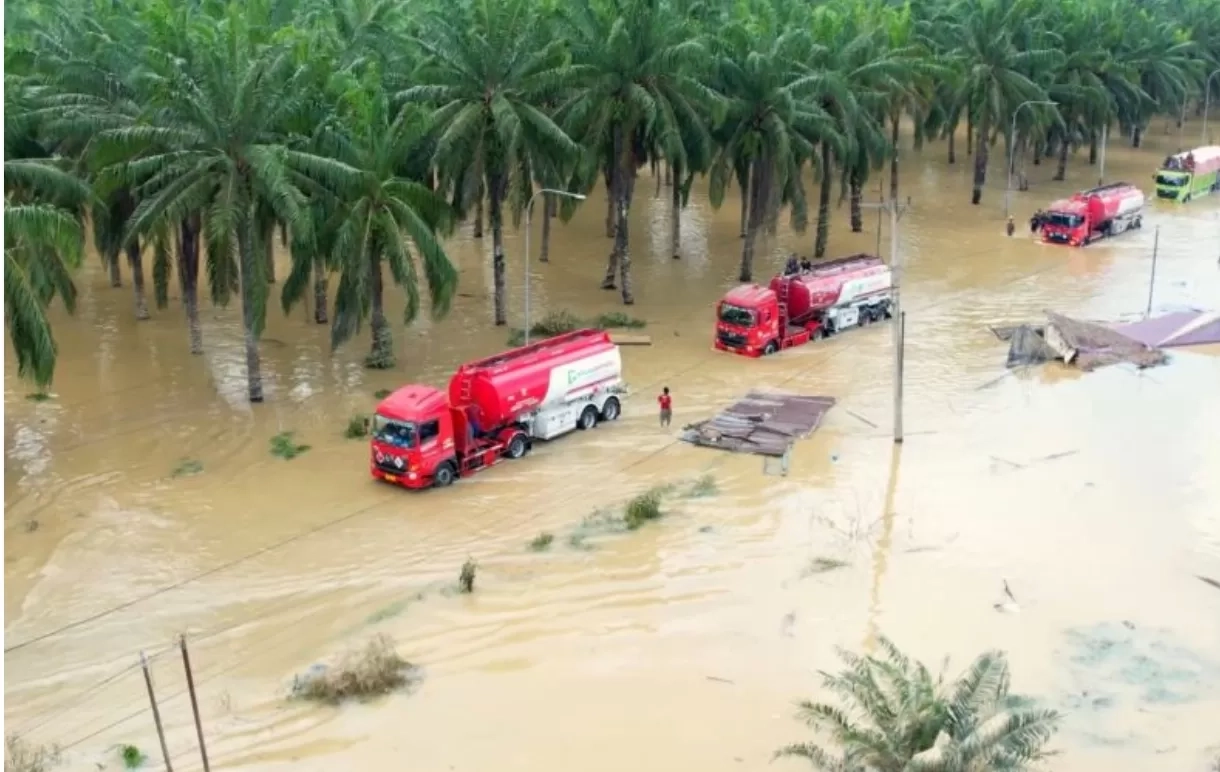 Warga Aceh Keluhkan Kondisi Pasca Bencana Banjir dan Longsor, Seperti Zombie Menjarah untuk Bertahan Hidup