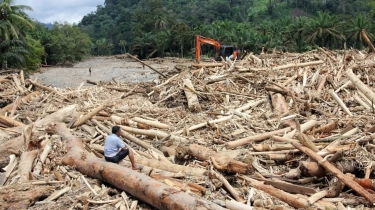 Beda Status Bencana Nasional dan Daerah: Mengapa Banjir Sumatera Belum Ditetapkan?