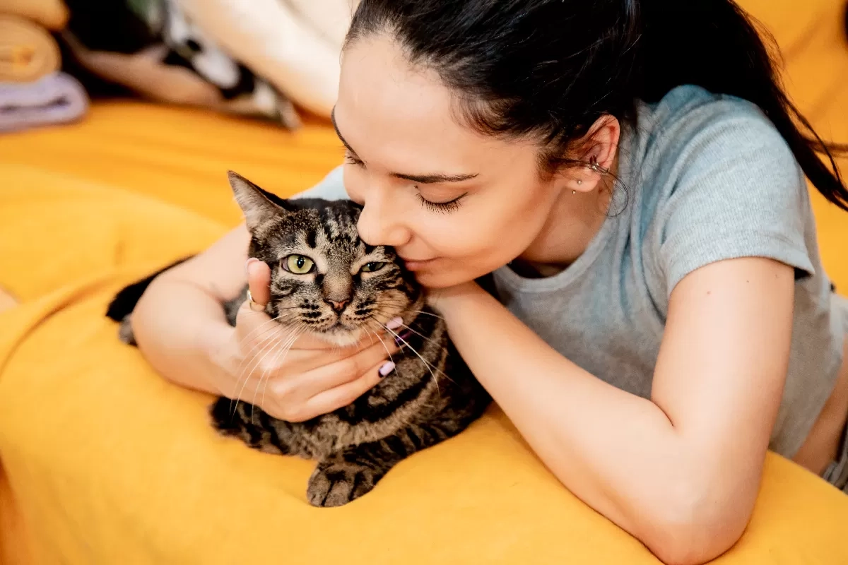 Pencinta Anabul Wajib Tahu! Ini 4 Bahaya Bulu Kucing, Terutama pada Penderita Alergi hingga Ibu Hamil