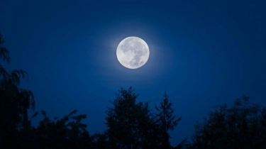 Supermoon 5 Desember 2025 Apakah Berbahaya? Waspada Banjir Rob