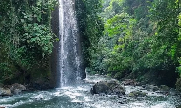 12 Wisata Alam di Probolinggo yang Jarang Dikunjungi tapi Menyimpan Keindahan yang Menyejukkan