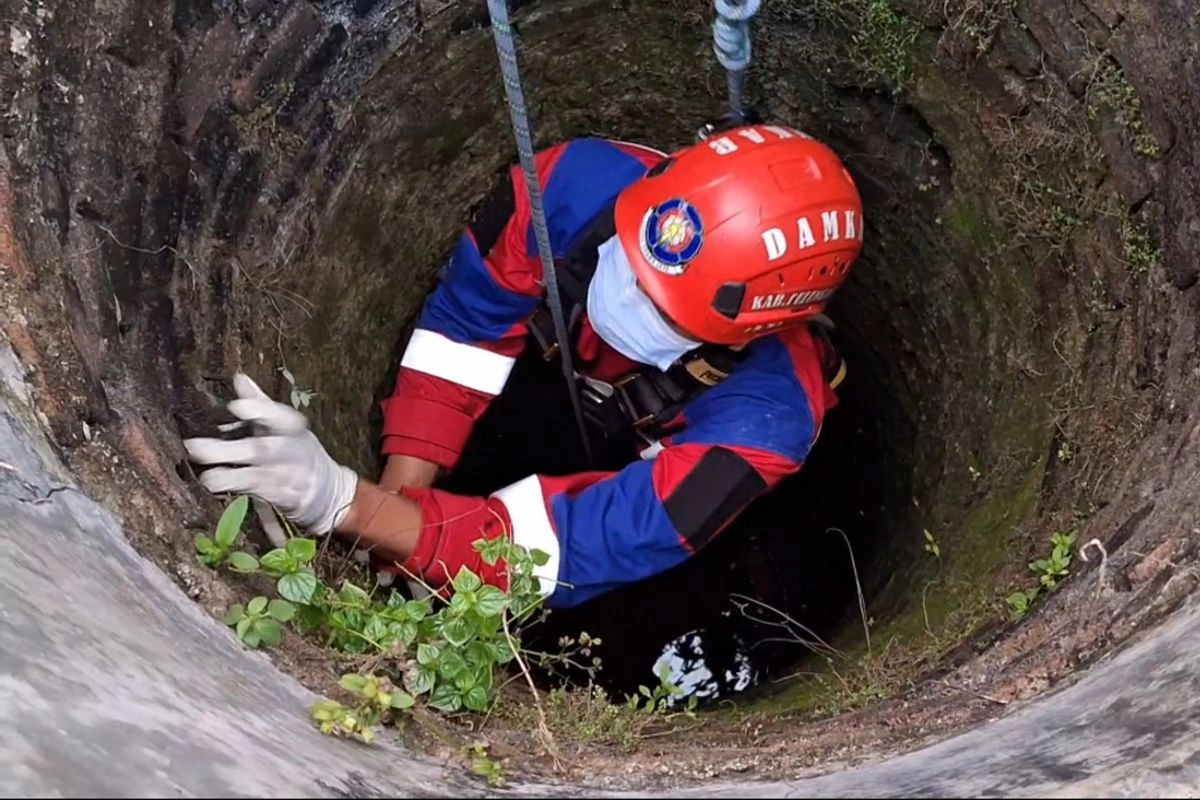 Gen Z Lapor Damkar untuk Urusan Sehari-hari: Usir Tawon hingga Rayakan Ultah