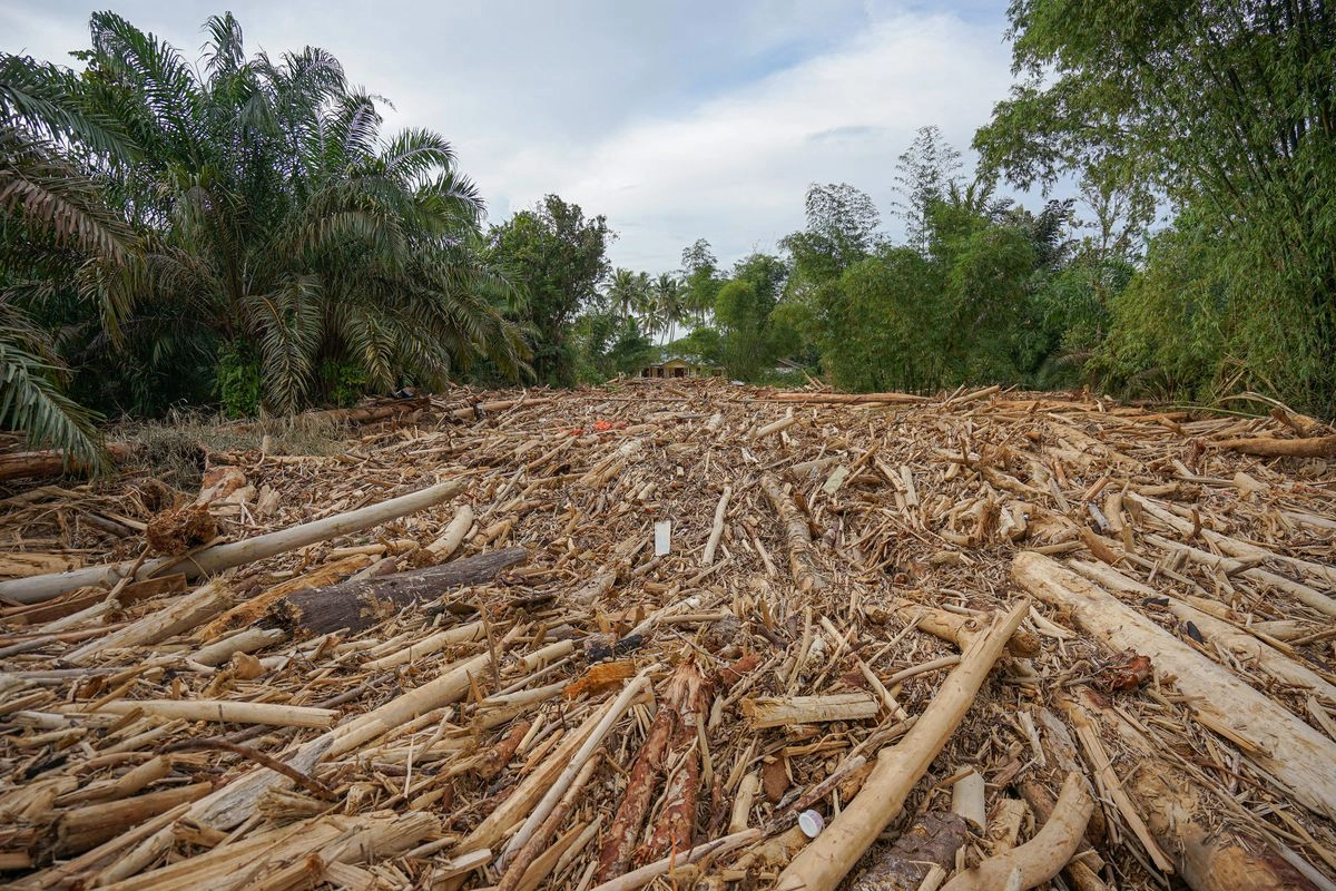 Pemerintah Evaluasi Izin Usaha di Lokasi Banjir Sumatera, Pemulihan Jadi Sorotan