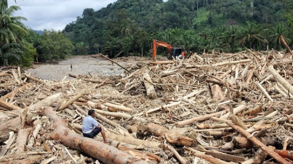 Kapolri Ungkap Jejak Chainsaw di Kayu Gelondongan Banjir, Dugaan Kejahatan Hutan Makin Menguat?