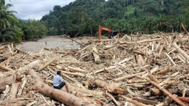 Kapolri Ungkap Jejak Chainsaw di Kayu Gelondongan Banjir, Dugaan Kejahatan Hutan Makin Menguat?