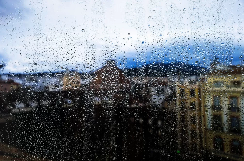 Rumah Terasa Lembap dan Berjamur? Kenali Bahaya Kesehatan dan 5 Langkah Jitu Mengatasinya