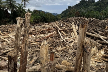 Soal Kayu Gelondongan, Polisi Akan Periksa Perusahaan di Garoga Batang Toru