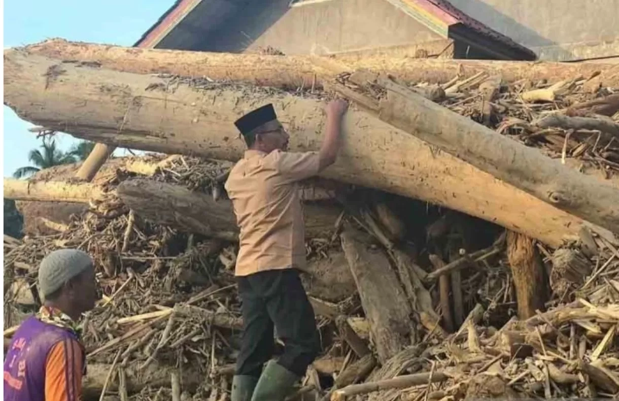 Kemenhut Izinkan Kayu Hanyut Dimanfaatkan untuk Pemulihan Pascabanjir