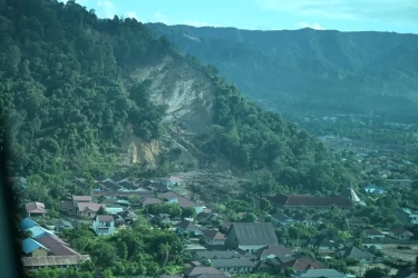 Penanaman Pohon di Tempat yang Tepat, Ini Strategi Vegetasi untuk Daerah Rawan Longsor, Nggak Boleh Sembarangan!
