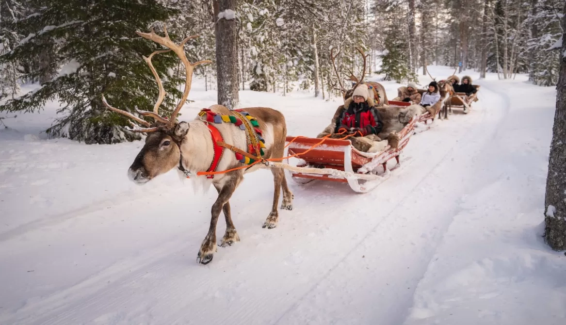 Lapland, Finlandia: Kisah Santa Claus Village, Magnet Wisata Dunia di Ujung Utara Eropa