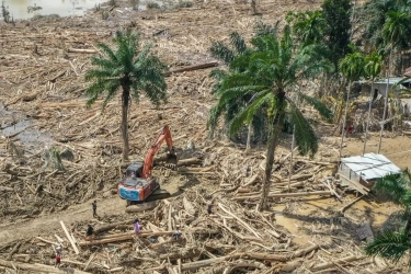 Pelat Merah Selalu Salah? Menakar Ulang Konstruksi BUMN di Tengah Konflik Kepentingan