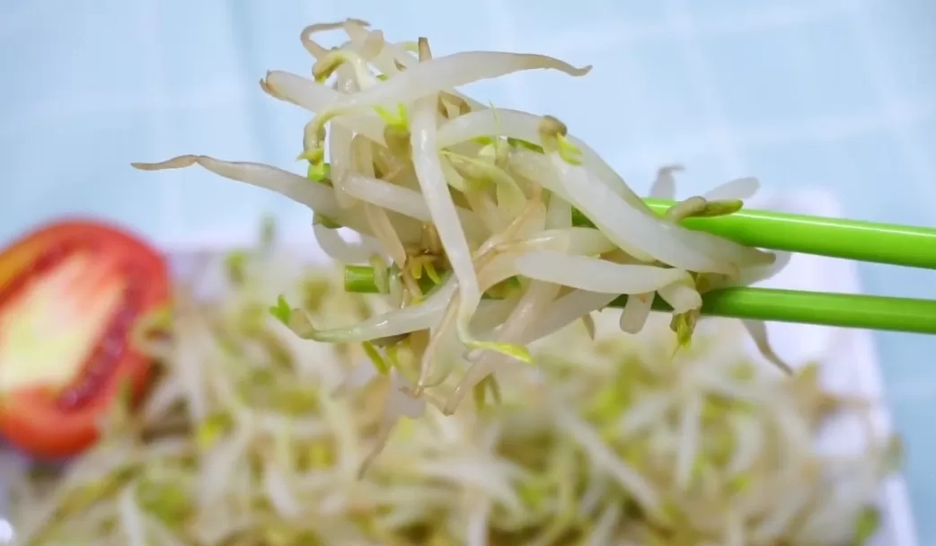 10 Manfaat Toge untuk Kesehatan: Rahasia Kecil yang Besar untuk Tubuh Lebih Sehat