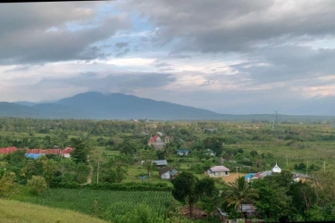 Akademisi Undip Dorong 3 Pilar Transformasi Transmigrasi untuk Percepatan Pembangunan Daerah