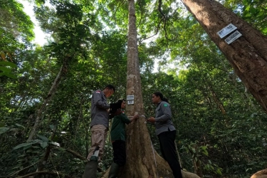 Apple Gandeng WWF Indonesia Lindungi Hutan Bukit Tigapuluh di Sumatera