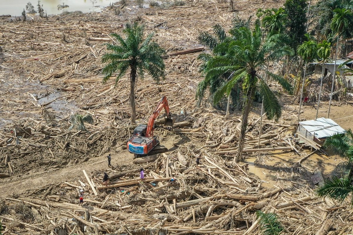 Bareskrim Periksa 17 Saksi terkait Kasus Kayu Gelondongan di Sumatera