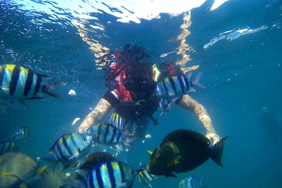 Viral Pemalakan di Bangsring Underwater, 2 Orang Langsung Ditangkap
