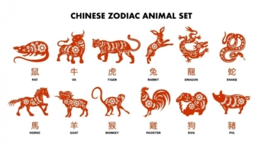 6 Shio Paling Beruntung 17 Desember 2025, Waktunya Panen Hasil Kerja Keras