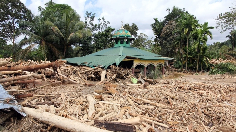 Dukung Pembentukan Satgas Rehabilitasi dan Rekonstruksi Pascabencana Sumatera, Begini Kata Komisi V