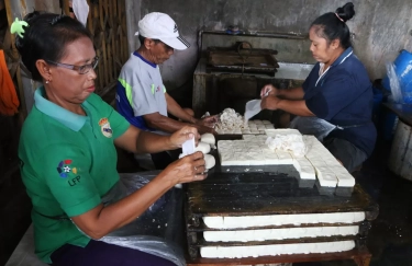 Gakoptindo Ingatkan Ancaman Inflasi Kedelai, Segmentasi Lokal–Impor Jadi Solusi