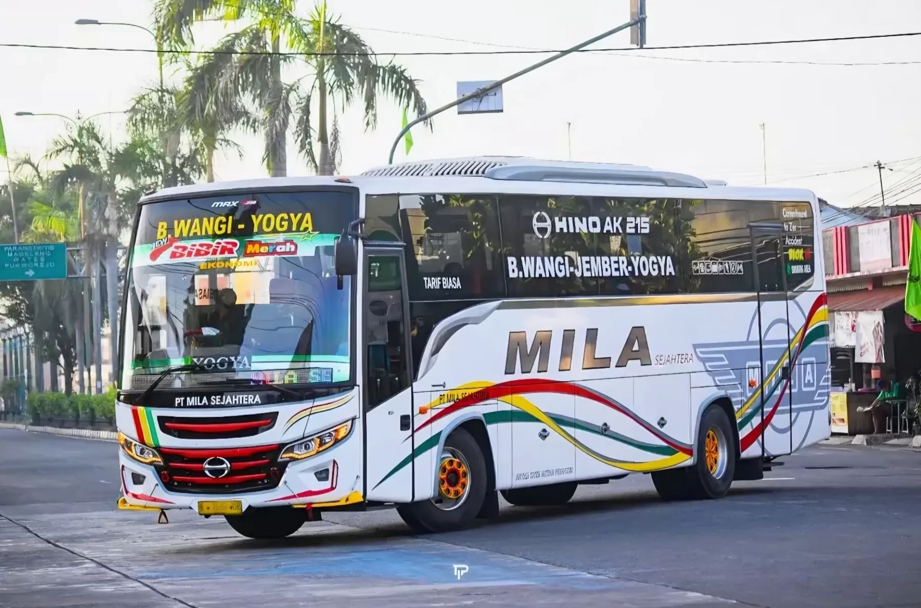 Mau Perjalanan Singkat dari Jember ke Banyuwangi? Cek 3 Bus yang Masih Aktif Hari Ini