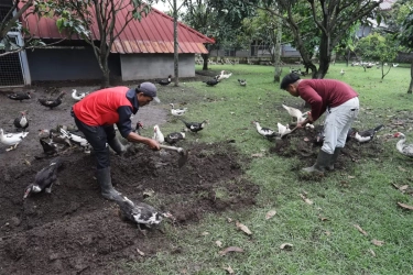 Membangun Ekonomi Sirkular dari Dapur MBG