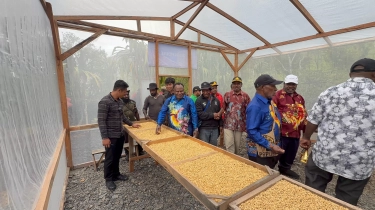 Tingkatkan Ekonomi Warga, Klinik Kesehatan dan Greenhouse Kopi Mulia Dibangun di Puncah Jaya Setelah Rusak Akibat Konflik