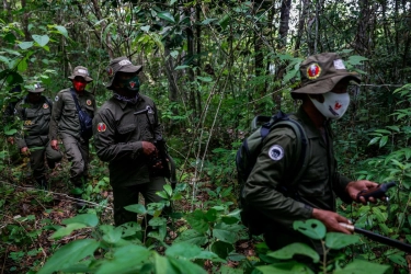 Prabowo Perintahkan Tambah Polisi Hutan, Berapa Jumlahnya di Indonesia?