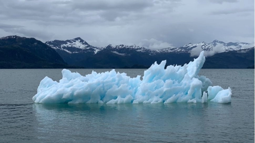 Bagaimana Perubahan Iklim Bisa Tingkatkan Ancaman Penyakit Zoonosis?