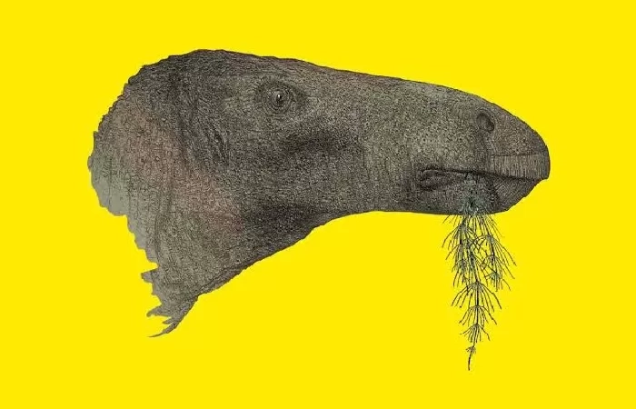 Heboh! Jejak Kaki Dinosaurus Berusia 200 Juta Tahun Ditemukan di Lokasi Olimpiade Musim Dingin Italia