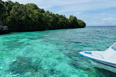 Liburan ke Berau: Gerbang Menuju Pantai Sebening Kaca, Snorkeling dengan Ubur-ubur Tanpa Sengat