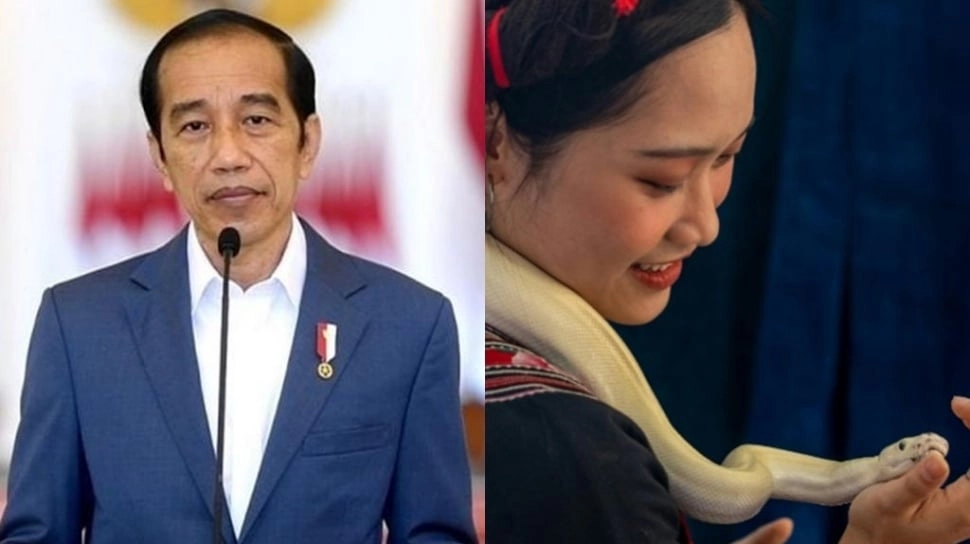 Terpopuler: Isi Amplop Ijazah Jokowi Terkuak, Firasat Shio Ular Terbukti!