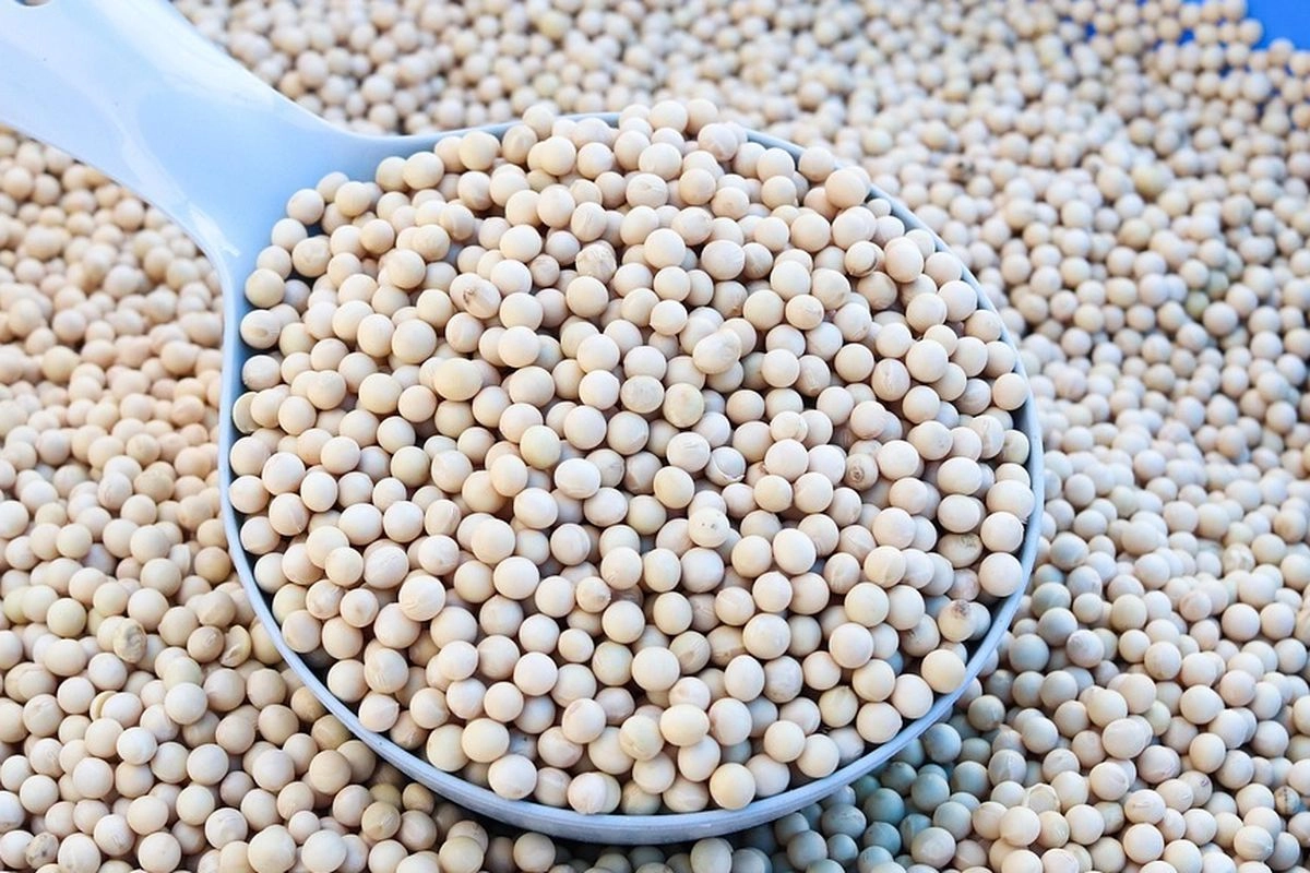 PT KBI Gandeng UGM dan Asmakara Bina Petani Kedelai, Produksi Naik 43 Persen