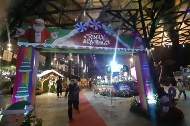 Libur Nataru, Jelajahi Safari Malam Rimba Warna di Taman Safari Bogor